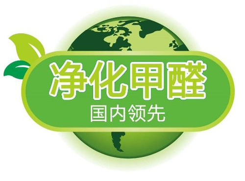 案例六洋葱除甲醛靠不靠谱